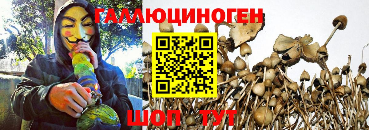 Галлюциногенные грибы MAGIC MUSHROOMS Приморско-Ахтарск